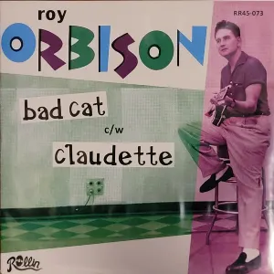 Pochette de Bad Cat de Roy Orbison