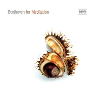 Pochette Beethoven for Meditation