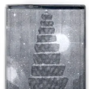 Pochette de Voyage Shopibo Coast de Dolphins Into the Future