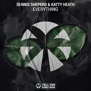 Pochette de Everything de Dennis Sheperd