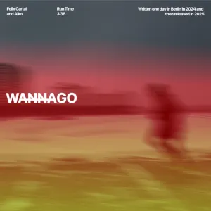 Pochette de Wanna Go de Felix Cartal