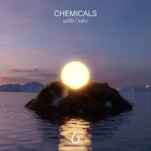 Pochette de Chemicals de Oaks