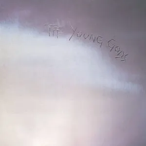 Pochette de L’amourir de The Young Gods
