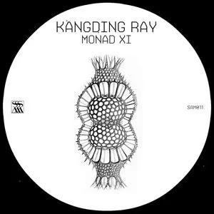 Pochette de Monad XI de Kangding Ray