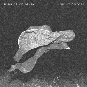 Pochette de High in the Woods de Vic Mensa