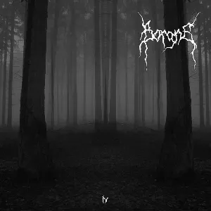 Pochette de IV de Borgne