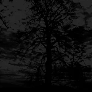 Pochette de Demo Session - VI - Rebirth Ritual in C Minor de Yhdarl