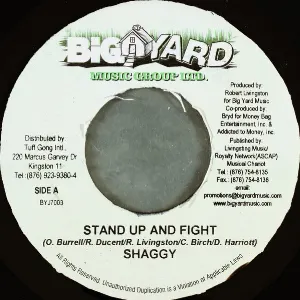 Pochette Stand Up and Fight