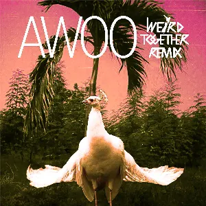 Pochette de Awoo (Weird Together remix) de Sofi Tukker