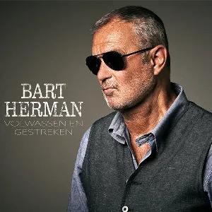 Pochette de Volwassen en gestreken de Bart Herman