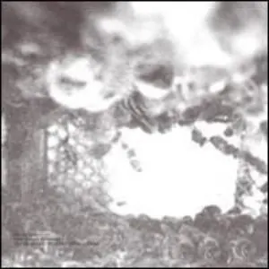Pochette de Zone Sensible 2 / Dundee 2 de Éric La Casa