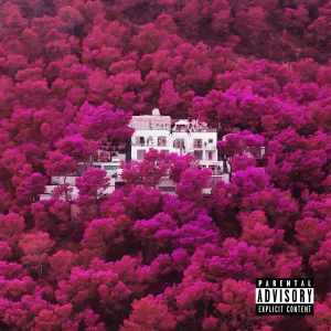 Pochette de 2CB de Luciano