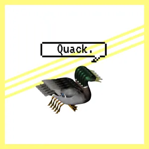 Pochette de Quack de opal東京