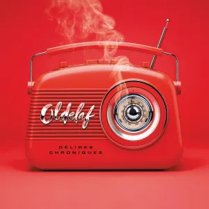 Pochette de Délires Chroniques de Oldelaf