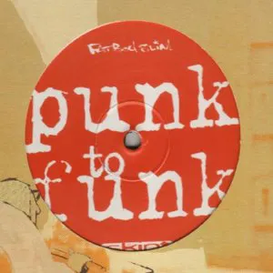 Pochette Punk to Funk