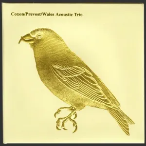 Pochette de Acoustic Trio de Eddie Prévost