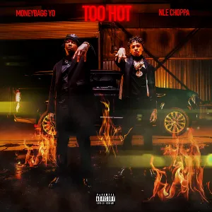 Pochette de Too Hot de NLE Choppa