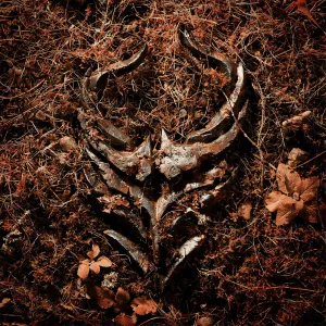 Pochette de Light Bends de Demon Hunter