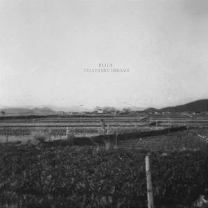 Pochette de Telepathy Dreams de Flica
