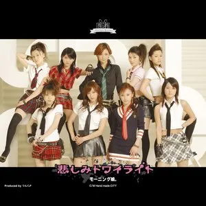 Pochette de 悲しみトワイライト de Morning Musume.