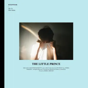 Pochette de 어린왕자 (The Little Prince) de RYEOWOOK