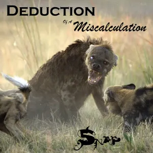 Pochette de Snap de Deduction of a Miscalculation