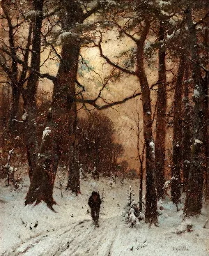 Pochette de Dernier Crépuscule de Hiemal