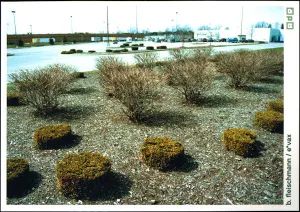 Pochette de Le désir / Water to Our Ankles de E*Vax