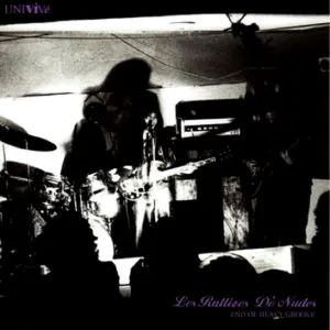 Pochette de End of Heavy Groove de Les Rallizes Dénudés