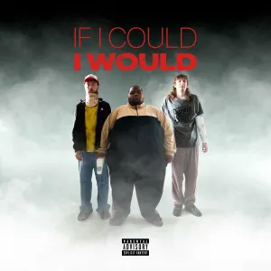 Pochette de If I Could I Would de Dave Blunts