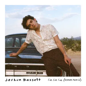 Pochette de Lie Lie Lie (R3HAB Remix) de R3HAB