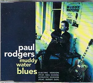 Pochette Muddy Waters Blues