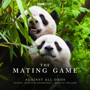 Pochette de The Mating Game - Against All Odds (Original Television Soundtrack) de Tom Howe