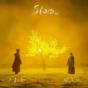 Pochette de Storm de AURORA - Qing Feng Wu