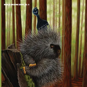 Pochette de Medicine Show No. 11: Low Budget High Fi Music de Madlib