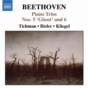 Pochette Piano Trios nos. 5 “Ghost” and 6