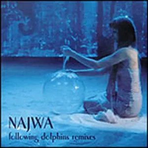 Pochette de Following Dolphins Remixes de Najwa
