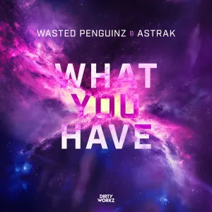 Pochette de What You Have de Wasted Penguinz