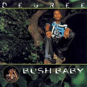 Pochette de Bush Baby de General Degree
