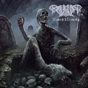 Pochette de 20 Years in a Terminal Grip de Paganizer