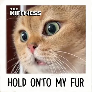 Pochette de Hold Onto My Fur de The Kiffness