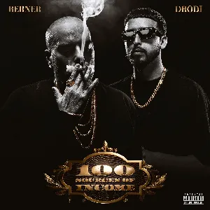 Pochette de 100 Sources of Income de Berner