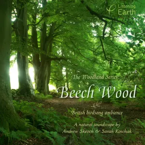 Pochette de European Woodland Series: Beech Wood de Andrew Skeoch