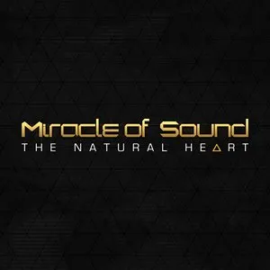 Pochette de The Natural Heart de Miracle of Sound