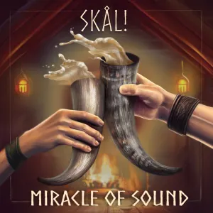 Pochette de Skål de Miracle of Sound