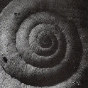 Pochette de Zweitens de Yolk