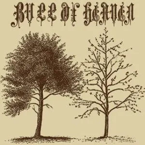 Pochette de 078: Objective Contempt, Objective Conscience de Bull of Heaven