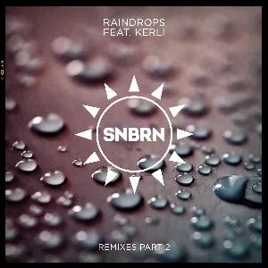 Pochette Raindrops (remixes, Pt. 2)