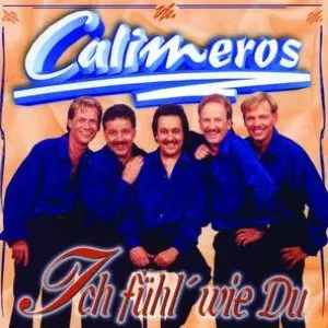 Pochette de Ich fühl' wie du de Calimeros