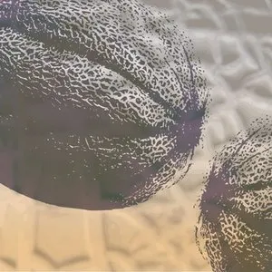 Pochette de K∆NN∆LOUPE.EP de Knxwledge